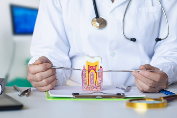 Best Emergency Root Canal Treatment in Denver City, TX